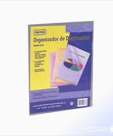 Organizador documento NORMA x 6