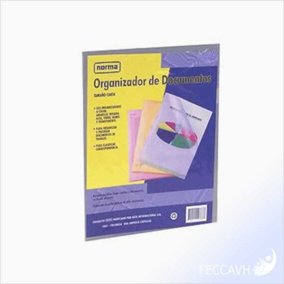Organizador documento NORMA x 6